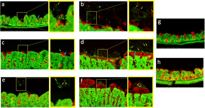 FIGURE 3