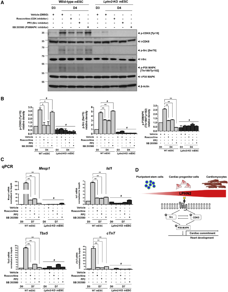 Figure 5