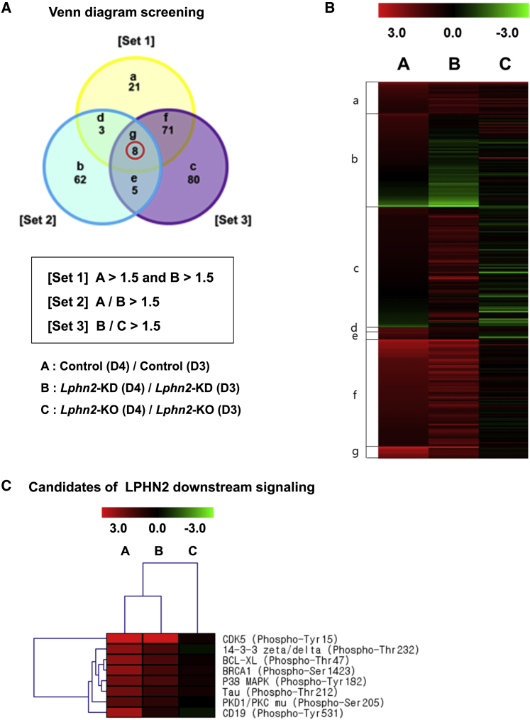 Figure 4