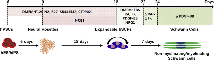 Figure 6