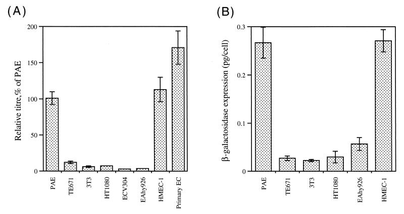 FIG. 6