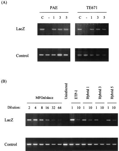 FIG. 4