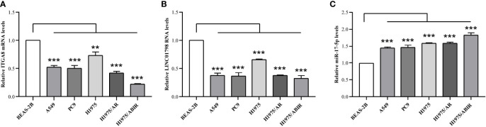 Figure 7