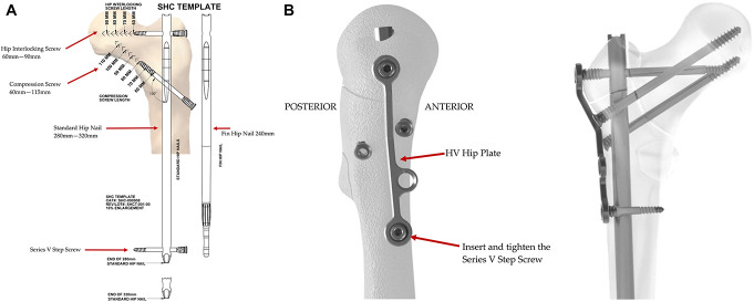 Figure 3.