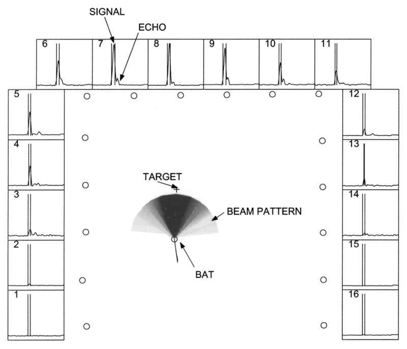 FIG. 5