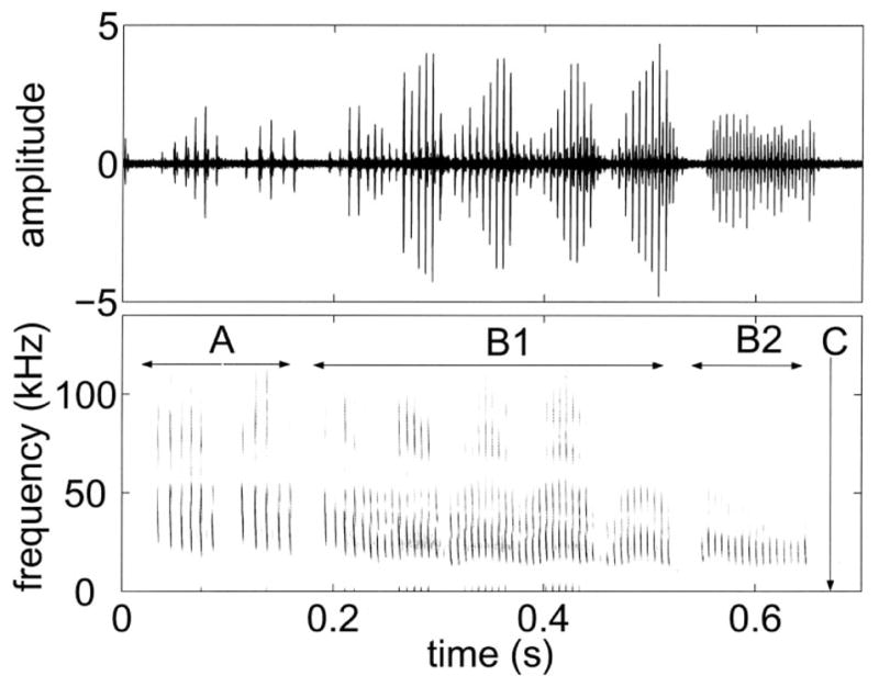 FIG. 1