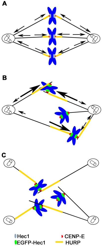 Figure 8