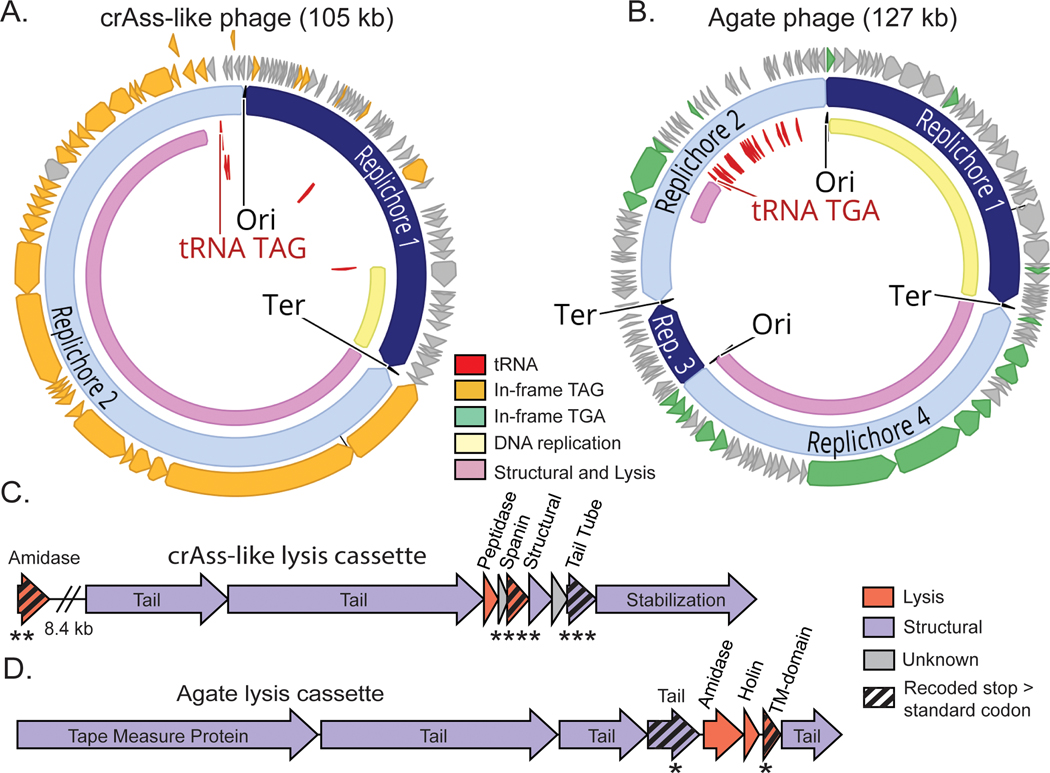 Fig. 4: