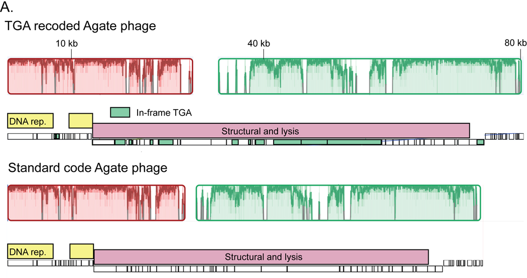 Extended Data Fig. 3