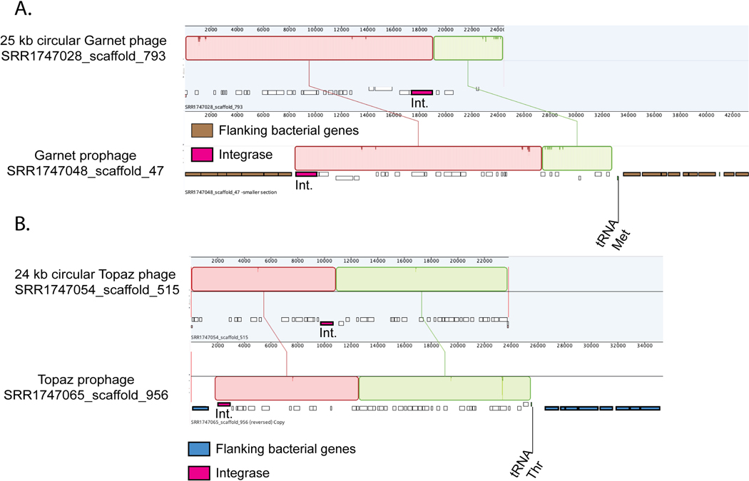 Extended Data Fig. 8