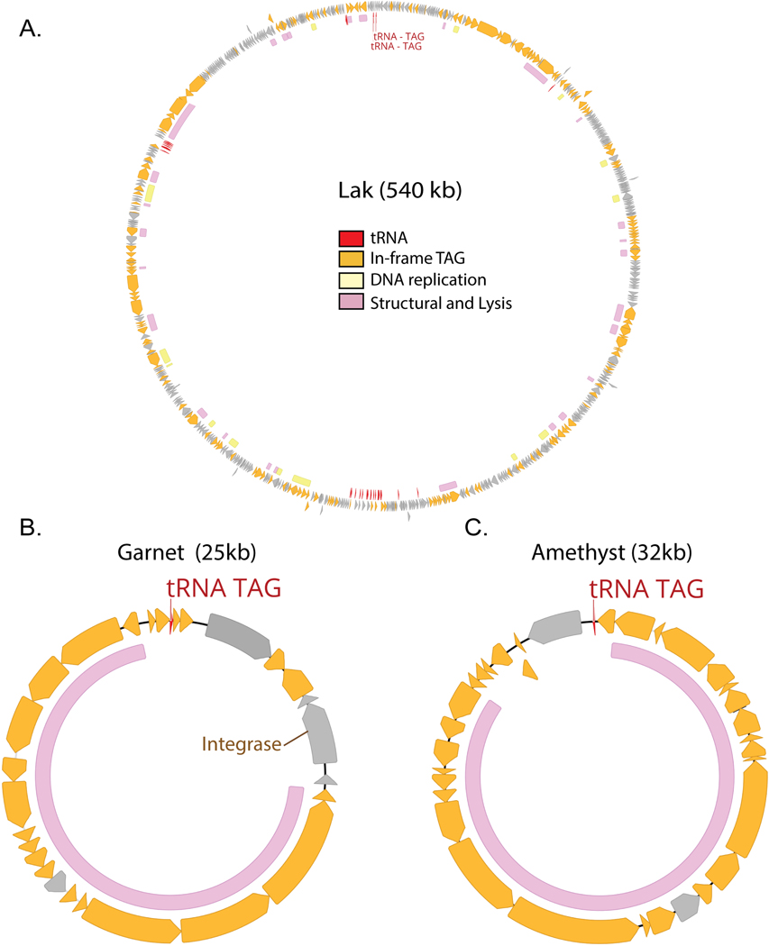 Extended Data Fig. 5