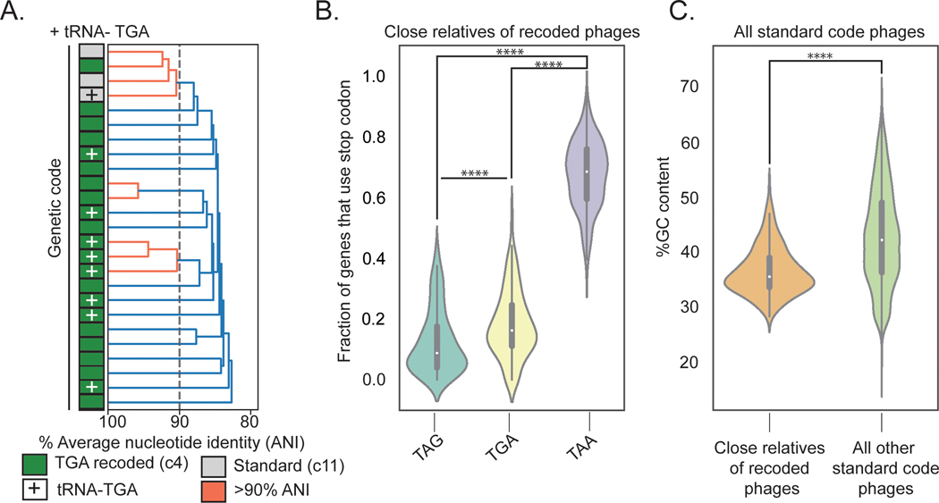 Fig. 3: