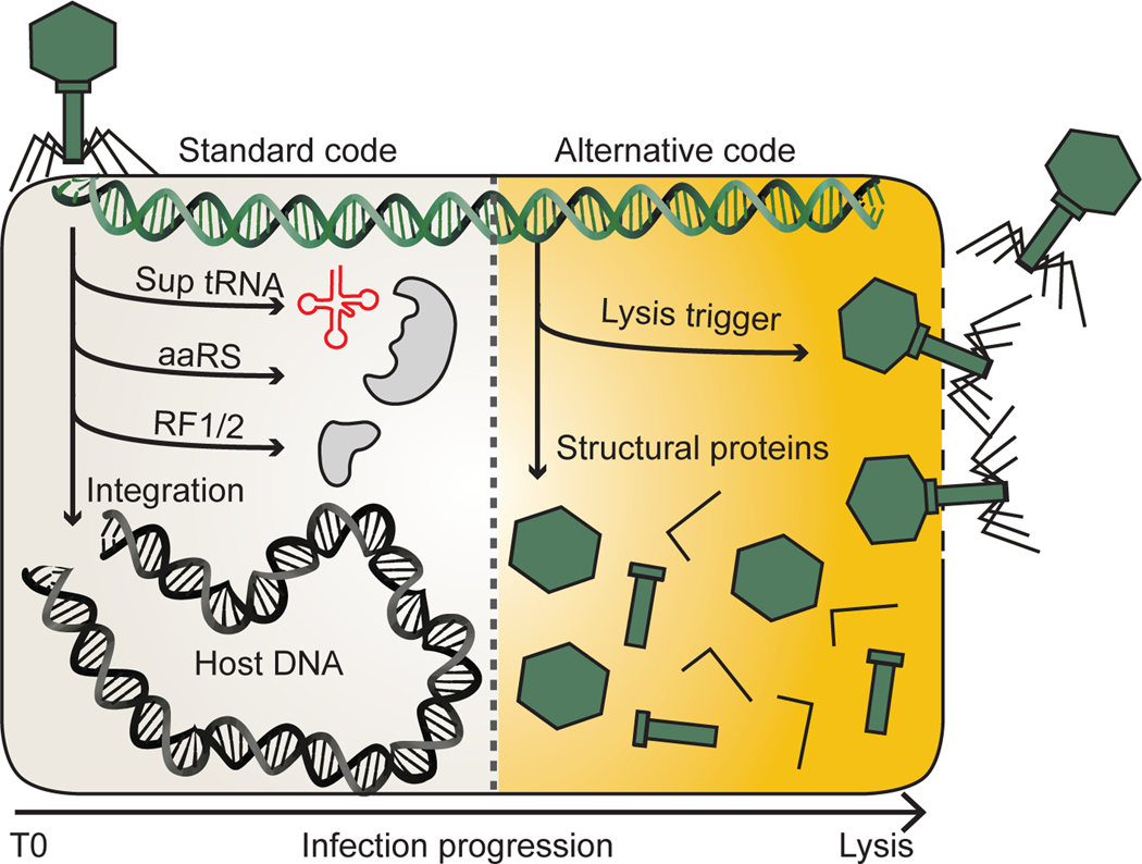 Fig. 6: