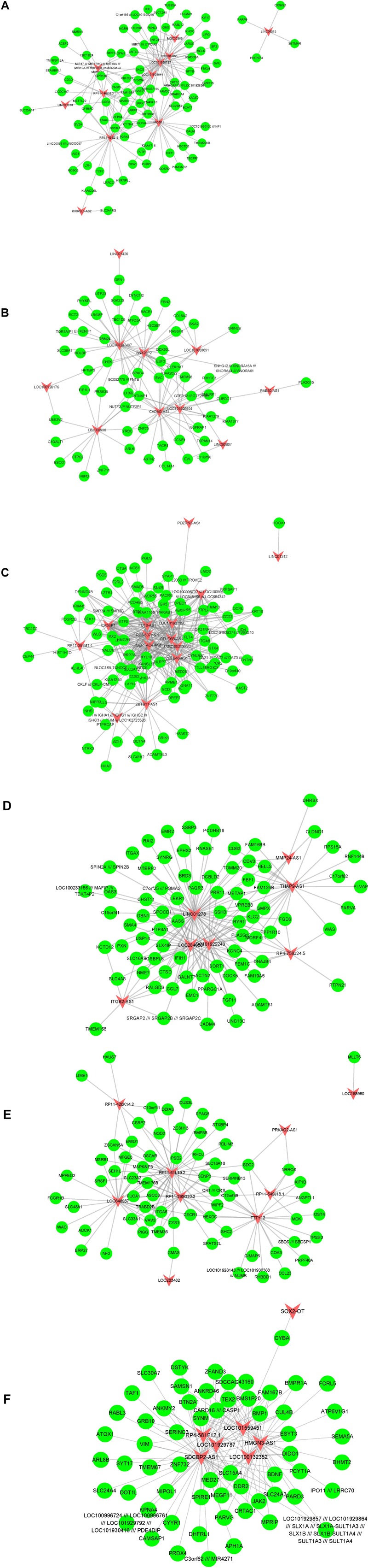 FIGURE 4