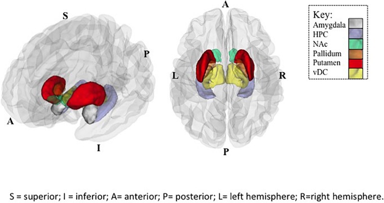 FIGURE 1