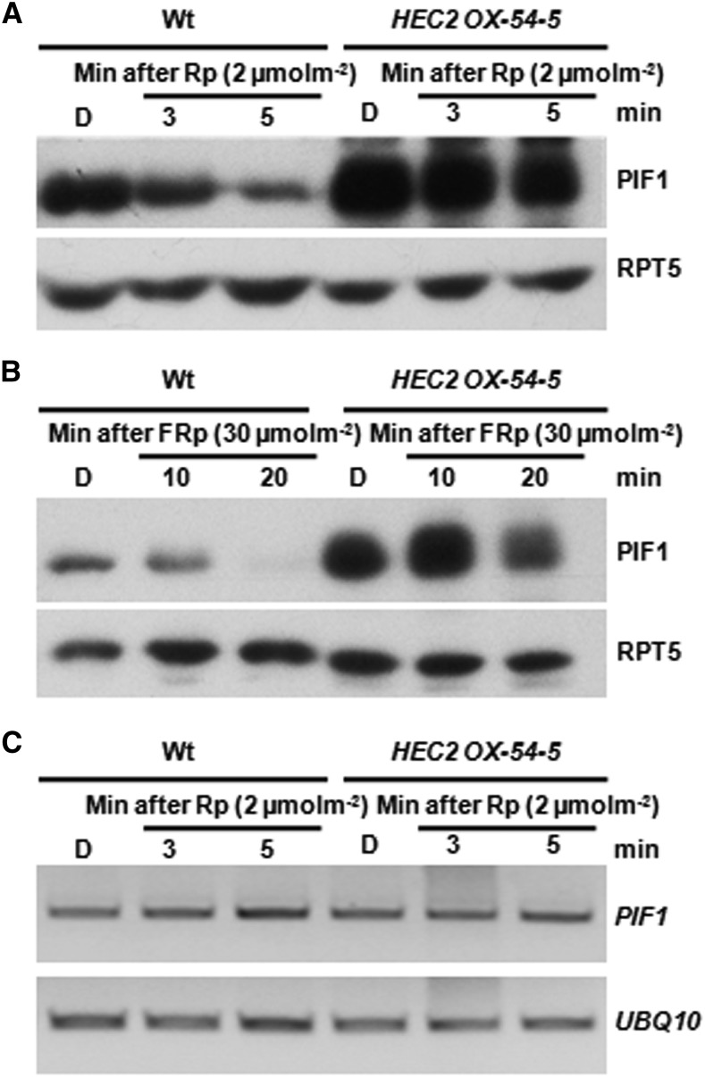 Figure 9.