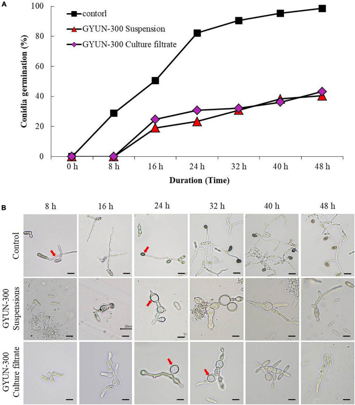 FIGURE 3