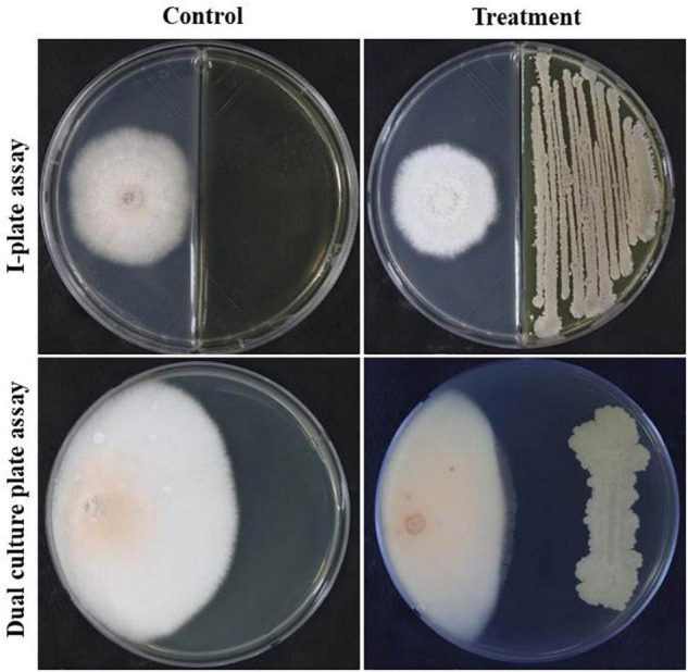 FIGURE 4