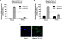 Fig 10