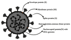 Fig. (3)