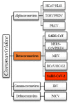 Fig. (1)