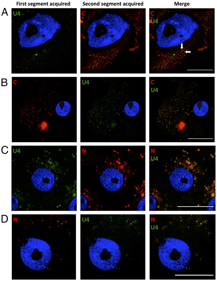 Fig. 4.