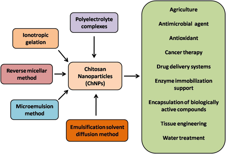 Figure 2