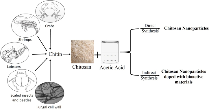 Figure 3