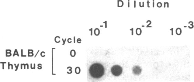 graphic file with name pnas00243-0278-a.jpg