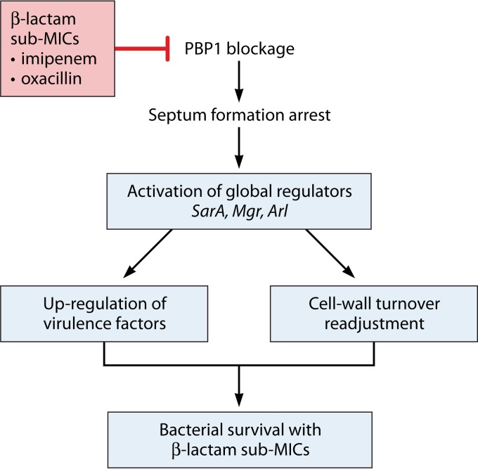 FIG 2