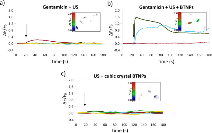 Figure 7