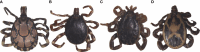 Figure 2