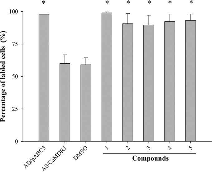 FIG 6