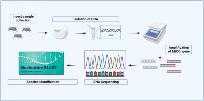 Image, graphical abstract