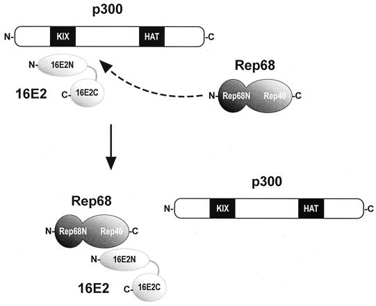 FIG. 8