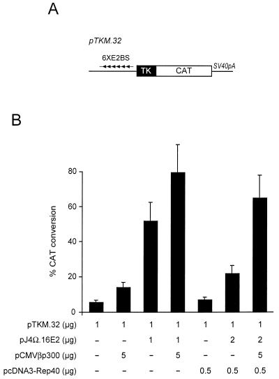 FIG. 7