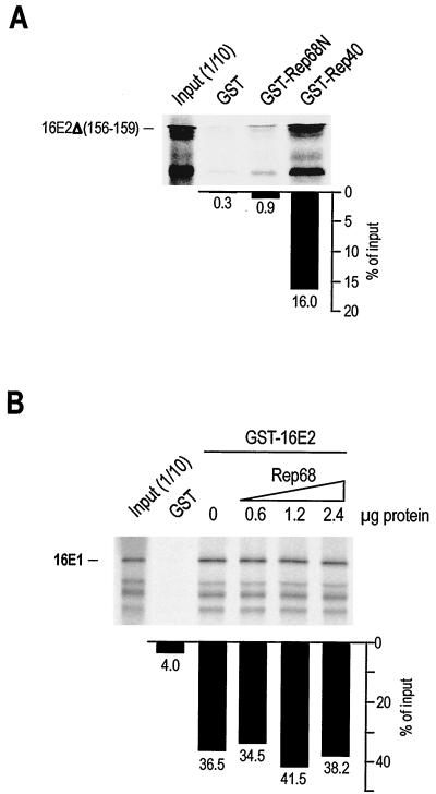 FIG. 5