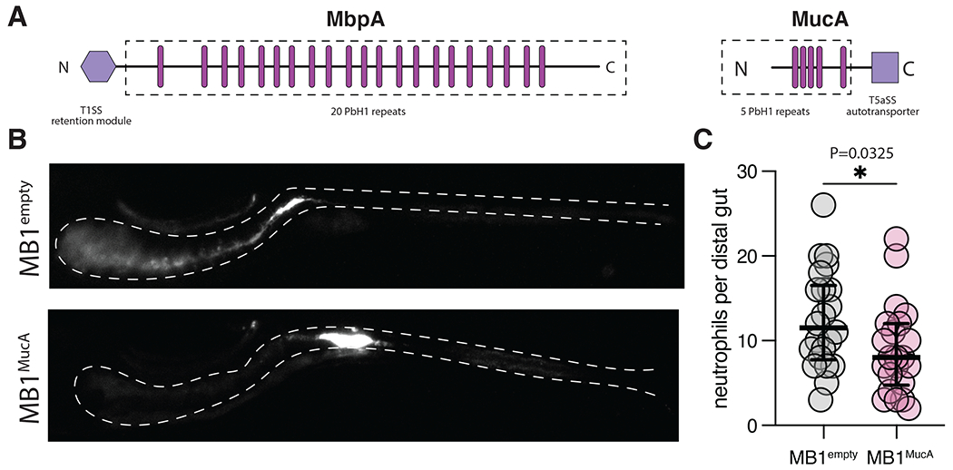 Figure 7.