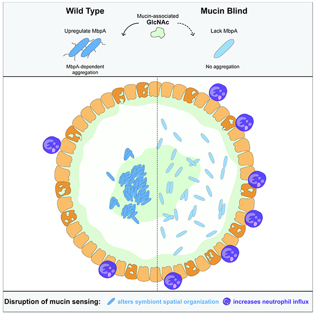 graphic file with name nihms-1922244-f0008.jpg