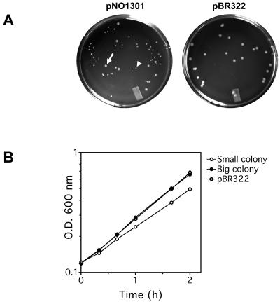 FIG. 1.