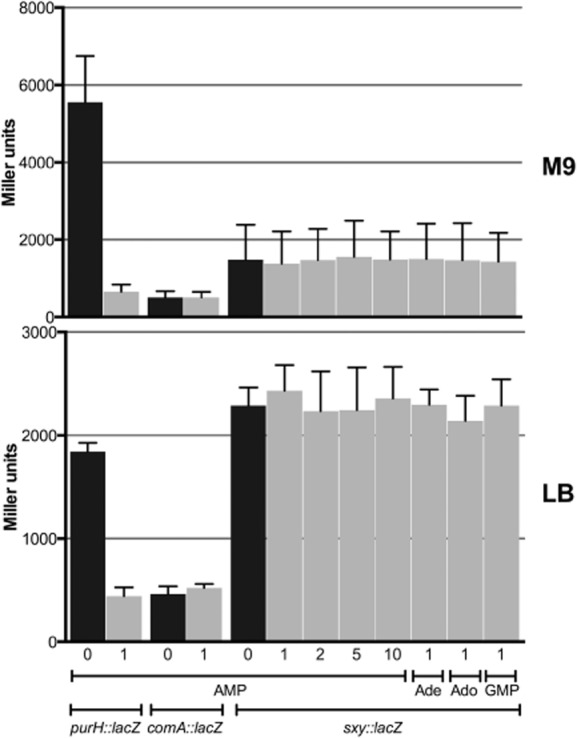 Fig. 7