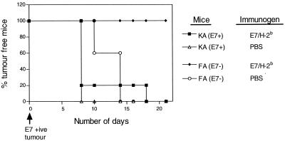 FIG. 8