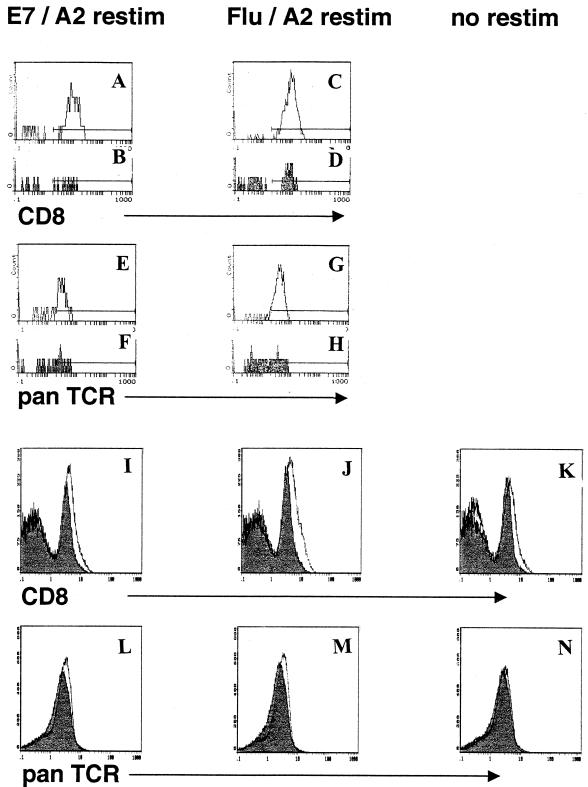 FIG. 6