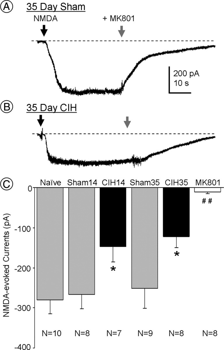 Figure 7.