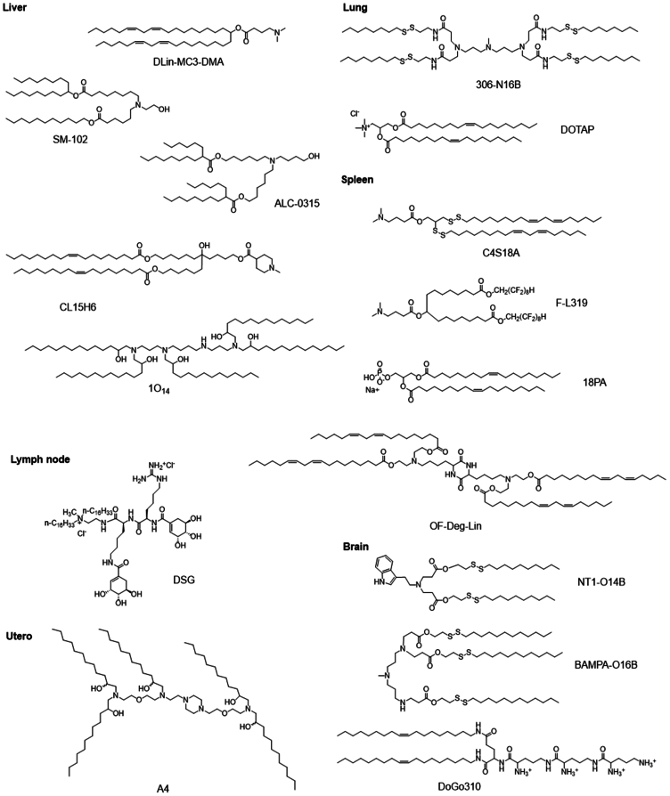 Figure 6