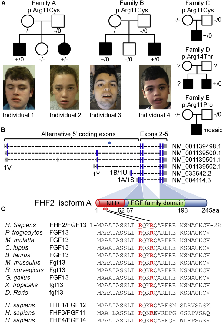 Figure 1