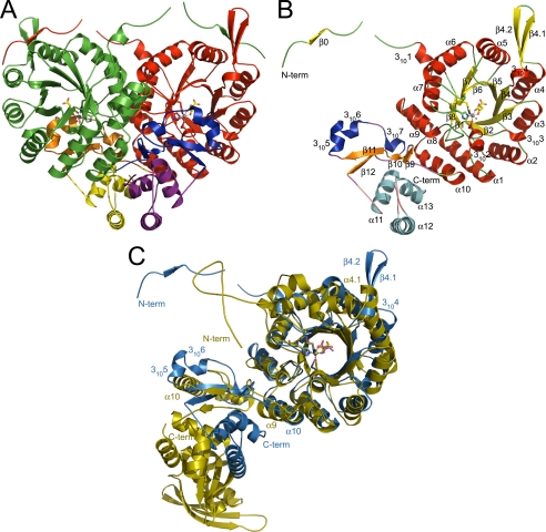 FIGURE 2.