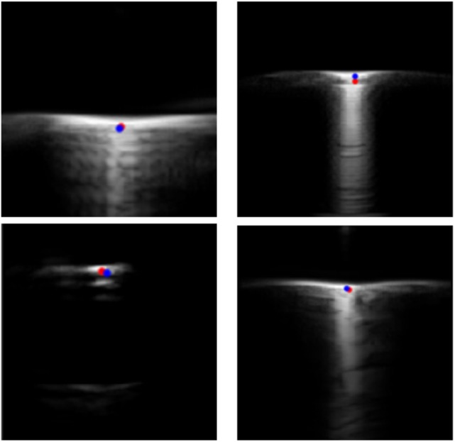 Fig. 6