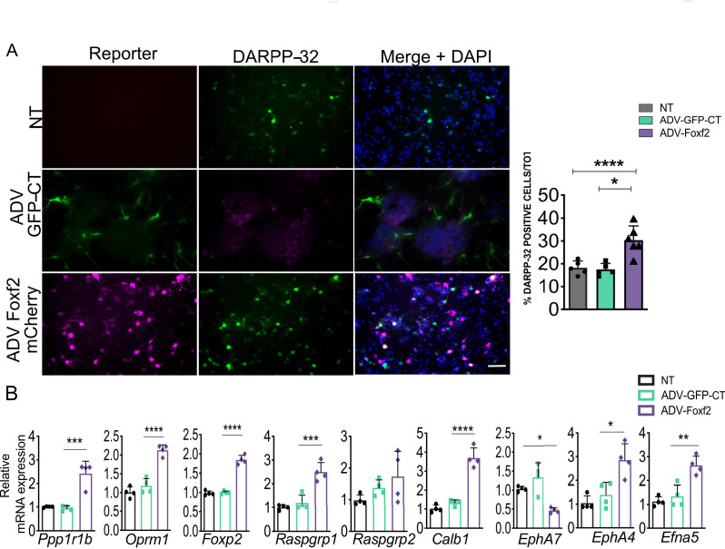 Figure 5—figure supplement 2.