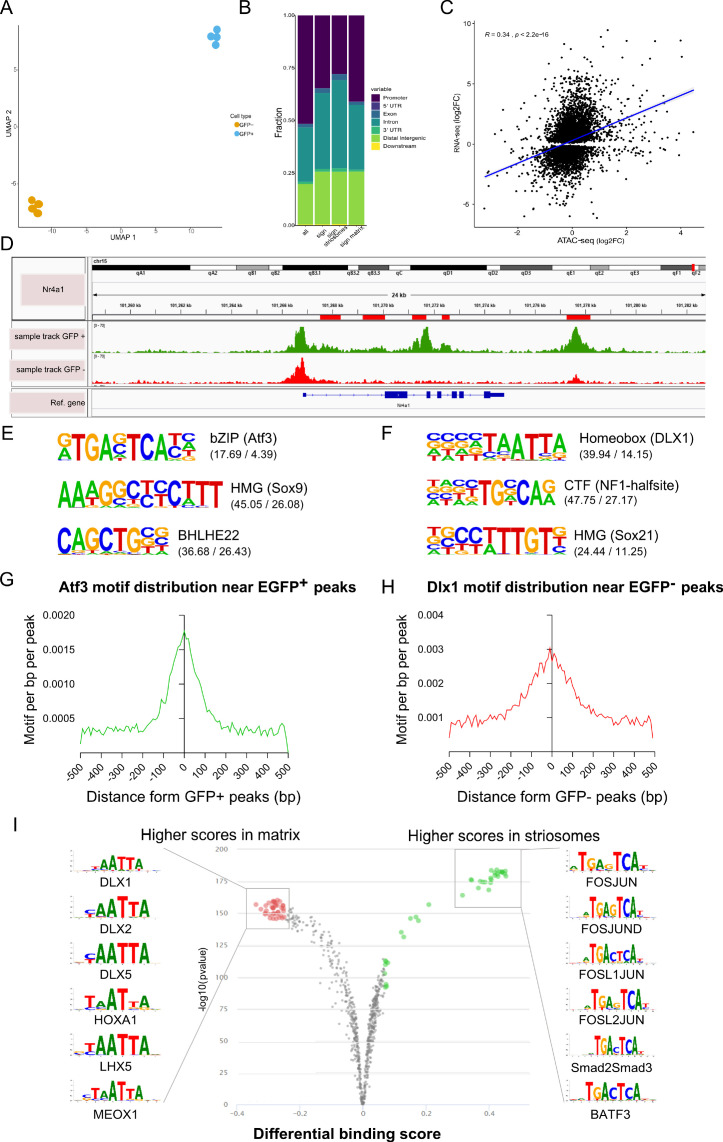 Figure 4—figure supplement 1.